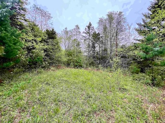 0 Bergeson Ln, Amberg, WI 54102