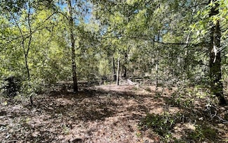 TBD 206th St, Obrien, FL 32071