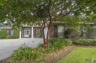 169 Tigerlily Dr, Houma, LA 70360