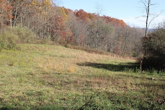 Lot 11 Sand Bank Heights Rd, Masontown, WV 26542