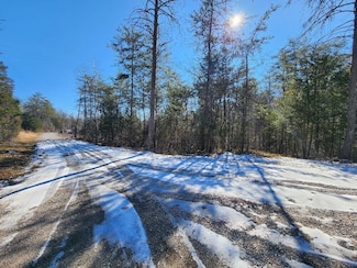 0 Raymond Dr, Burnside, KY 42519