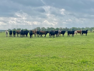 0 Tbd County Road 3095, Crockett, TX 75835