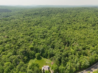 0 Cox Rd Unit 204813, Brandon, NY 12966