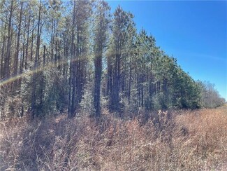 0 Cory Road Currier Lane Ln Unit 2465225, Loranger, LA 70446