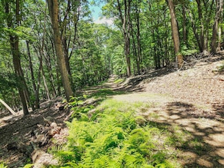 0 Long Lick Run Rd Unit Lot 23 21115445, Baker, WV 26801