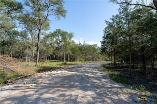 995 Carter Rd, Dale, TX 78616