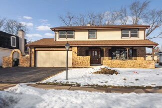 542 E Cunningham Dr, Palatine, IL 60074