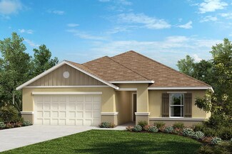 11772 Firespike St, Riverview, FL 33578
