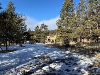 267 Rhyolite Ln, Florissant, CO 80816
