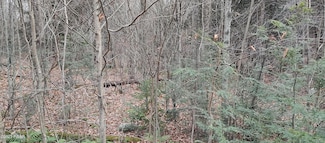 Lot 50 Riverfront Way, Lehigh Township, PA 18424