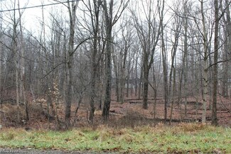 0 Apple Valley Dr Unit 5007865, Howard, OH 43028