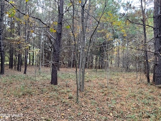 37 Pearl Harbor Dr, Seabrook, SC 29940