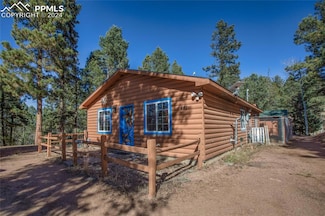 441 Paint Pony Ln, Florissant, CO 80816