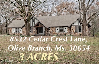 8532 Cedar Crest Ln, Olive Branch, MS 38654