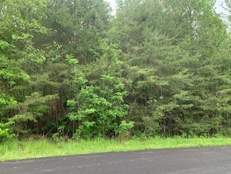 Lot 35 Ravenwood Dr, Madisonville, KY 42431