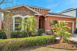 11331 Emerald Shore Dr, Riverview, FL 33579