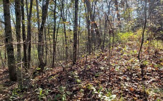 LT 18 Raintree Bend, Blue Ridge, GA 30513