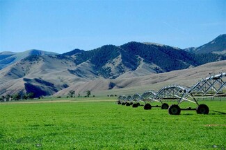 TBD Big Sheep Creek Rd, Dell, MT 59724