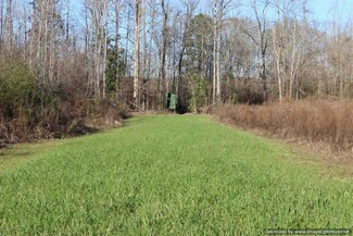 1114 Broome Rd, Wesson, MS 39191