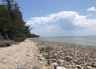 Parcel D Gobles Dr, Bois Blanc Township, MI 49775