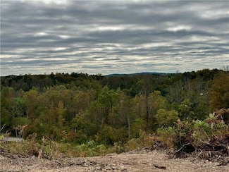 Lot 10 Skeens Mill Rd, Trinity, NC 27370