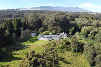 42-1467 Kalapahapuu Rd, Paauilo, HI 96776