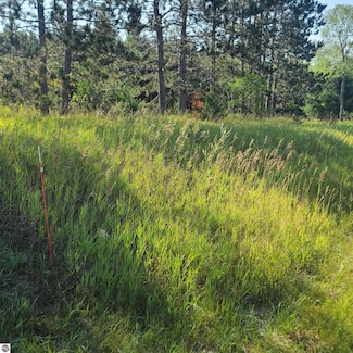 0002 Michigan 66, Fife Lake, MI 49633