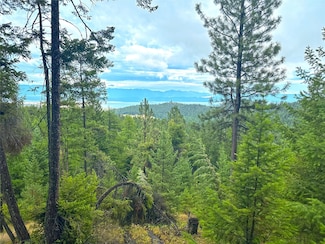 Nhn Boon Rd, Somers, MT 59932