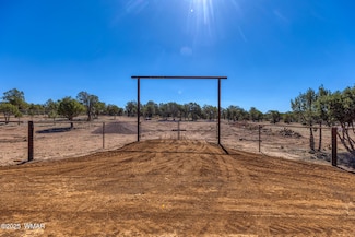 000 Aubri Ln, Show Low, AZ 85901