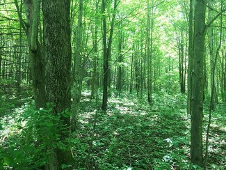 9835 Cream Ridge Rd, Farmersville Station, NY 14060