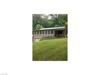 33715 Akron Boat Club Rd, Piedmont, OH 43983
