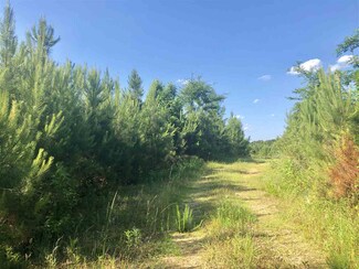 0 Byrdtown Rd, Hazlehurst, MS 39083