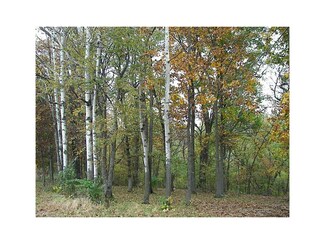 LOT 1 Little Hoots Hollow, Shueyville, IA 52338