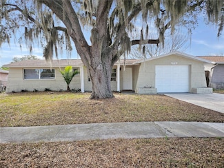 6216 7th Ave, New Port Richey, FL 34653