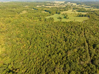0 Silver Springs Unit 23031181, Evening Shade, AR 72532