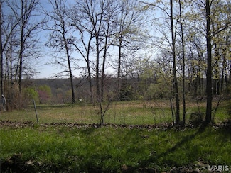 394 Perkins Rd, Saint Clair, MO 63077