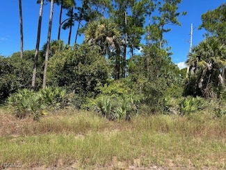 675 Nassau Cir, Fort Denaud, FL 33935