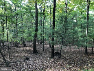 5 Kinlock Ln, Capon Bridge, WV 26711