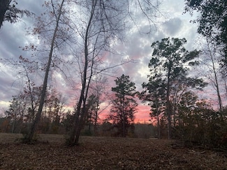 0 An County Rd 1233, Palestine, TX 75801