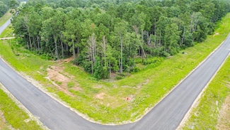 15945 Four Hills Rd, Willis, TX 77378