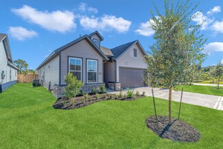 16902 Tulip Row Ln, Cypress, TX 77429