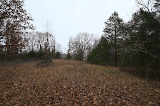 21010 Trailing Vine Ln, Lebanon, MO 65536