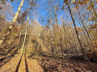 0 W Deaver Rd, McConnelsvle, OH 43756