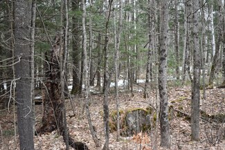 TBD Map 2 Lot 45-5 Lowell Rd, Enfield, ME 04493