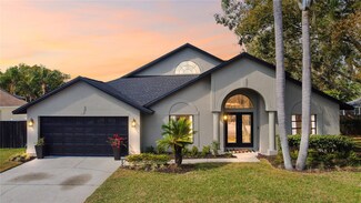 15004 Elmcrest St, Odessa, FL 33556