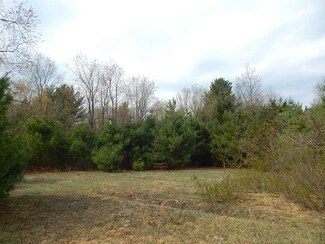 0 N Ayr Rd, Pellston, MI 49769