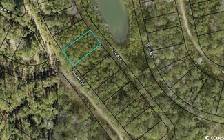 TBD Duany Dr, Georgetown, SC 29440