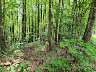Lots 78&79 Mckenzie Way S, Old Fort, NC 28762