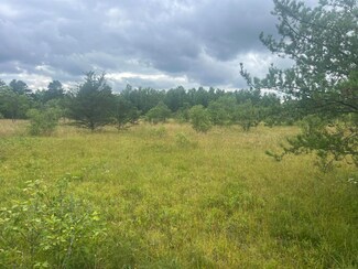 0 Pappys Trail Unit 201830836, Grayling Township, MI 49738