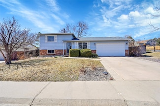 11483 Steele St, Thornton, CO 80233